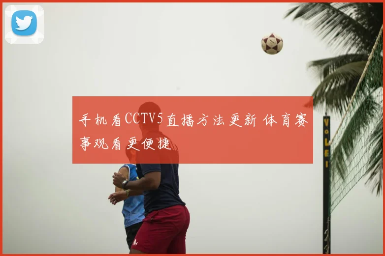 手机看CCTV5直播方法更新 体育赛事观看更便捷